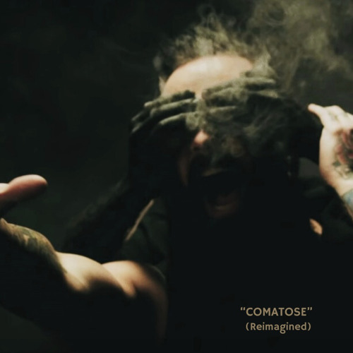 Skillet - Comatose (Reimagined)