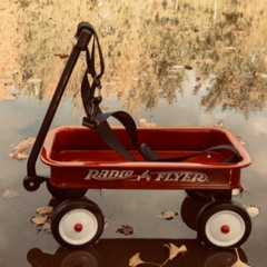 9.6 ~ Alive and...Well