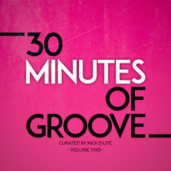 30 MINUTES OF GROOVE - VOLUME TWO / curated by Nick D-Lite