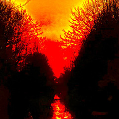 So Far From Paradise