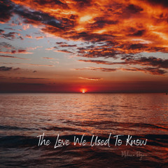 The Love We Used To Know