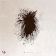 TN_ - Sycomore