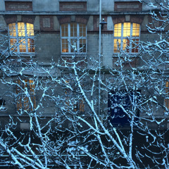 Silent, Soft and Slow