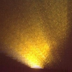 Canisminor - mixed matches