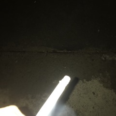 40mg
