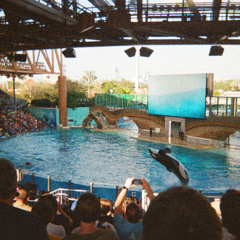 RnB House Funzies (Rnb, House)