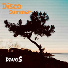 Disco Summer