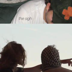 the sigh - obstacle
