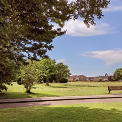 Passing Out Pieces [Mac Demarco Instrumental cover]