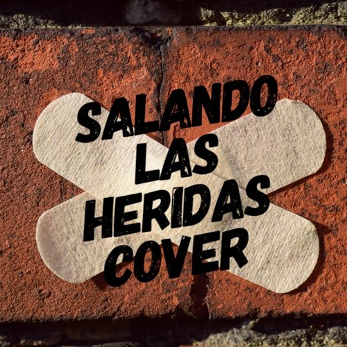 Stream Salando Las Heridas - Cover - Patricio Rey y Sus Redonditos de  Ricota - #NMIN by Música en casa | Listen online for free on SoundCloud