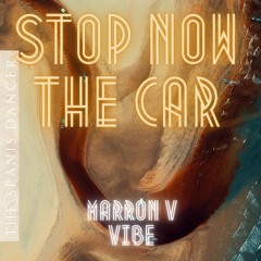 Stop now the car - Instrumental track
