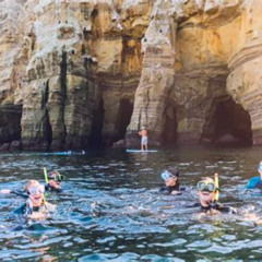 Best La Jolla Kayak And Snorkel Tour Prices Reviews