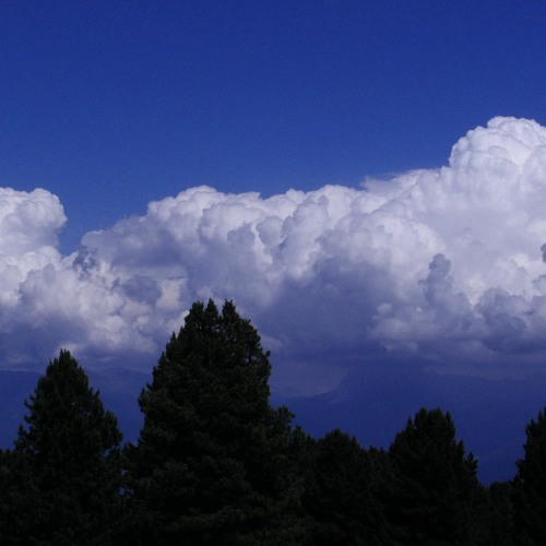 Seq13  The Solitude of Prime Numbers - La solitudine dei Numeri Primi