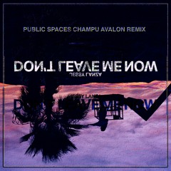 Don't Leave Me Now (Public Spaces Champu Avalon Re-Edit)