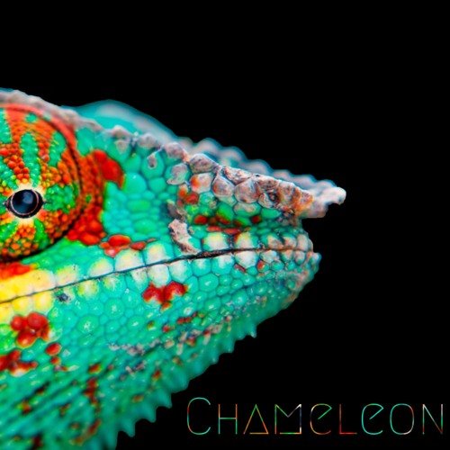 Chameleon