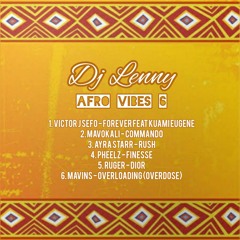 DJ Lenny - Afro Vibes 6