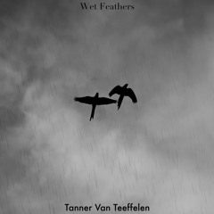 Wet Feathers