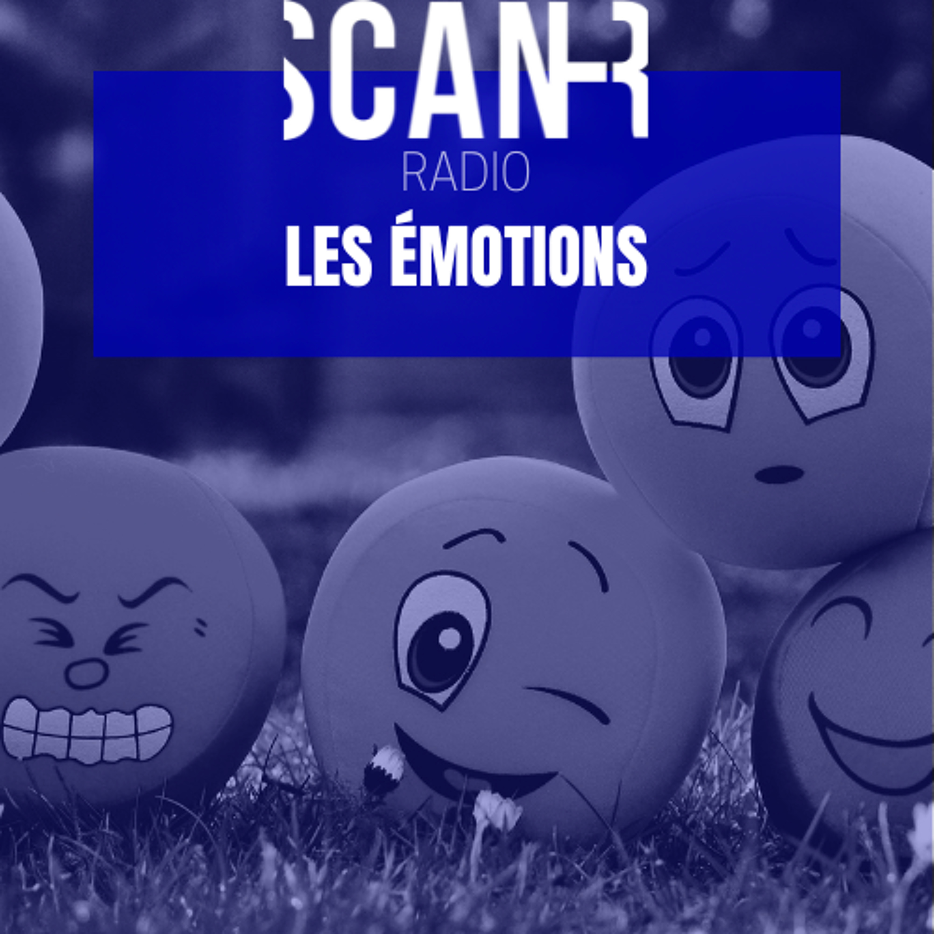 Scan-R Radio : Emission du 25 juin 2025 sur les émotions episode artwork