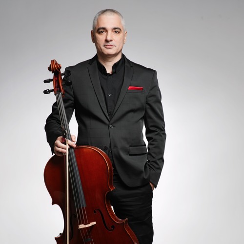 Stream M. Milojević 