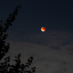 Moon Debris