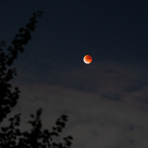 Moon Debris