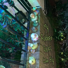 My Rubber Ducks Can Fly