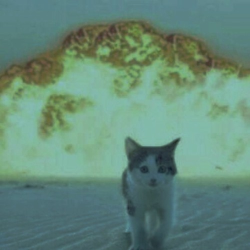 gross (prod. ayokaddy)