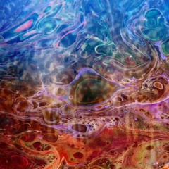 WellgoeZ [Z²] // LIVE 2025