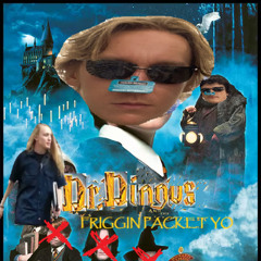 Dr. Dingus and the Friggin Packet Yo