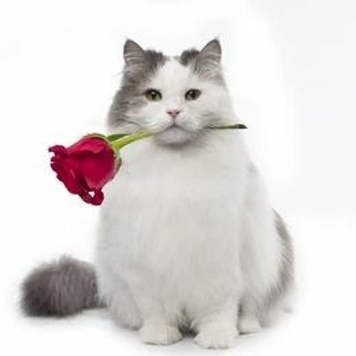 Michelle Rouge DJ Set @ Lost In Lust III