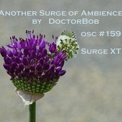 Another Surge Of Ambience - OSC #159 Surge XT