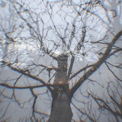 In the Jungle [Where the Wild Hearts Thrive (A-Side)]