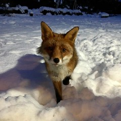 Abyusif.ft.Abuelanwar talata zayaha (slowed)