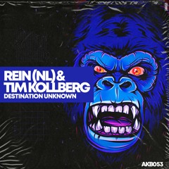 Rein (NL) & Tim Kollberg - Destination Unknown