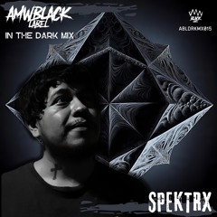 In The Dark Mix 015 - Spektrx [EC]