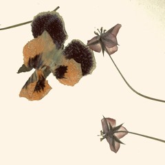 почему она вечно ноет