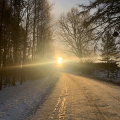 Kogu elu on tee-Justament