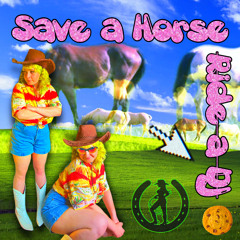 Save a Horse, Ride a DJ / Choki Biki Radio DDR Mix