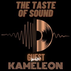 The Taste of Sound Guest Mix by Kameleon