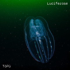 Luciferase (Original Mix)