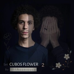 SET | Cubos Flower 🌺 V2 - Igor .Rodrigues