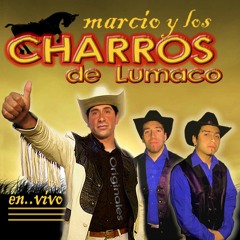 Como Dejar de Amarte