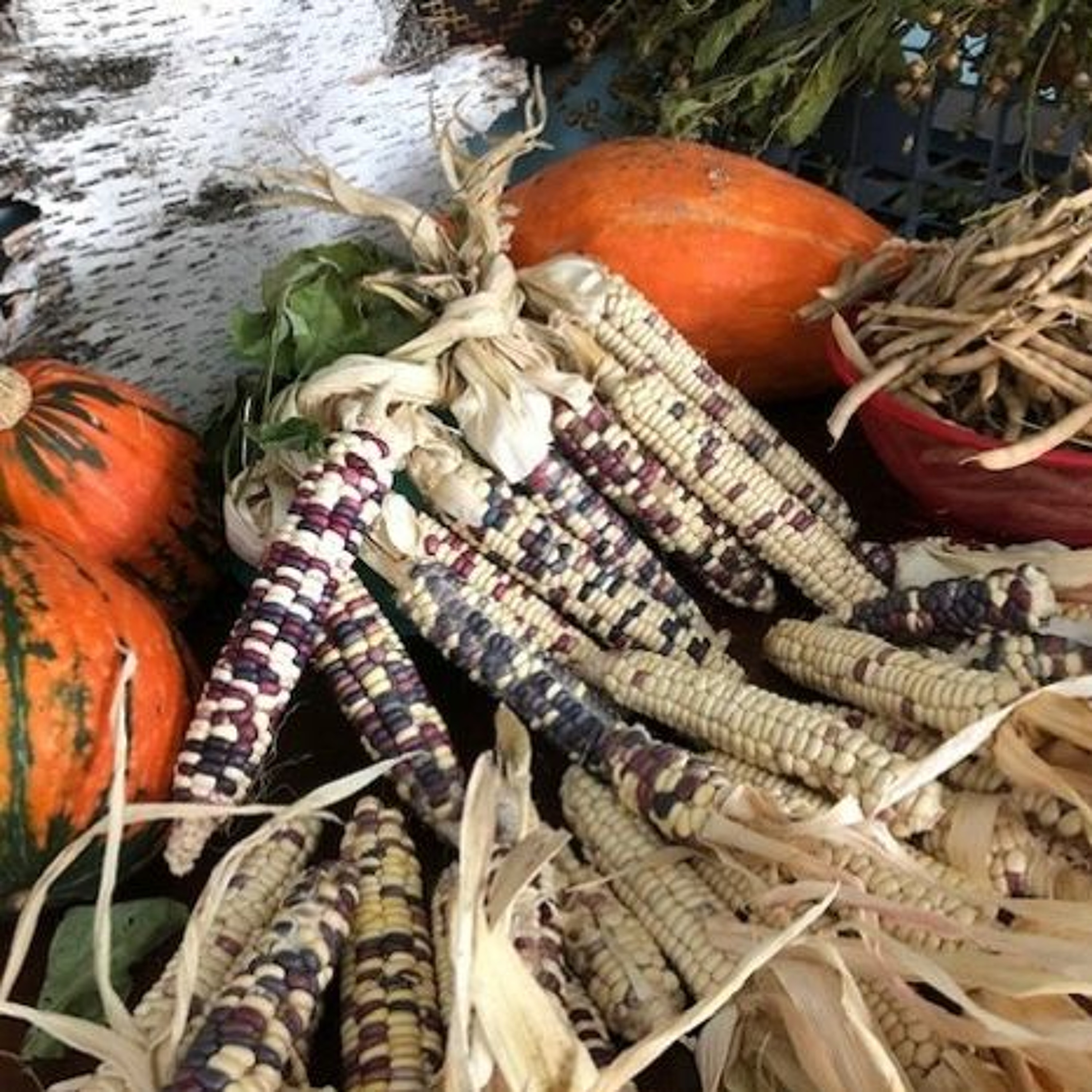 A Generational Investment, Little Progress at COP26, The Seed Keeper and more episode artwork