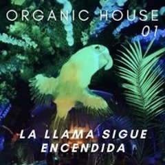 ORGANICAMENTE 01 - La llama sigue encendida