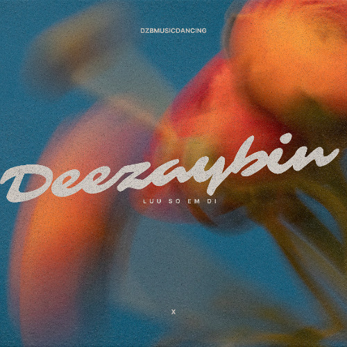 LƯU SỐ EM ĐI x DEEZAYBIN MIX
