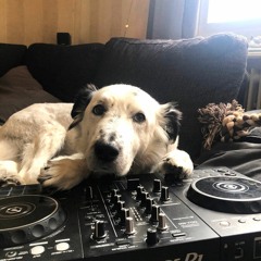 Nechronic - In memory of my best friend, Tenor | Xtra Raw Megamix (50Bangers!)