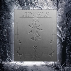 CR1TTER-ANGELS (ZUZE REMIX)