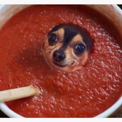 lost in the sauce