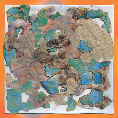 IP PREMIERE | Reinartz - Things That Fall Right Into Place [Appendix.files]