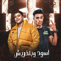 اسود وبنخربش ( نضفنا ناس مش سالكة ) شاعر الغية و حلقولو | مهرجانات 2025 | توزيع قط كرموز